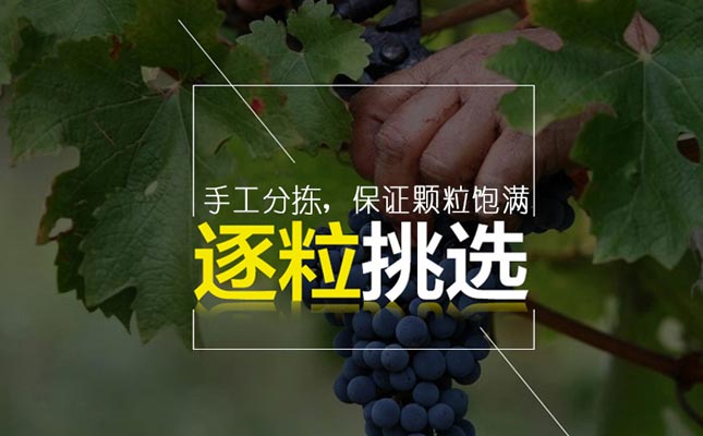 重慶紅酒批發(fā)市場(chǎng)