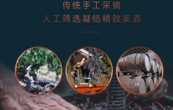 重慶保稅港紅酒市場(chǎng)批發(fā)電話-國(guó)產(chǎn)紅酒與進(jìn)口紅酒